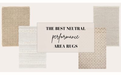 The Best Neutral Performance Area Rugs For Your Living Room